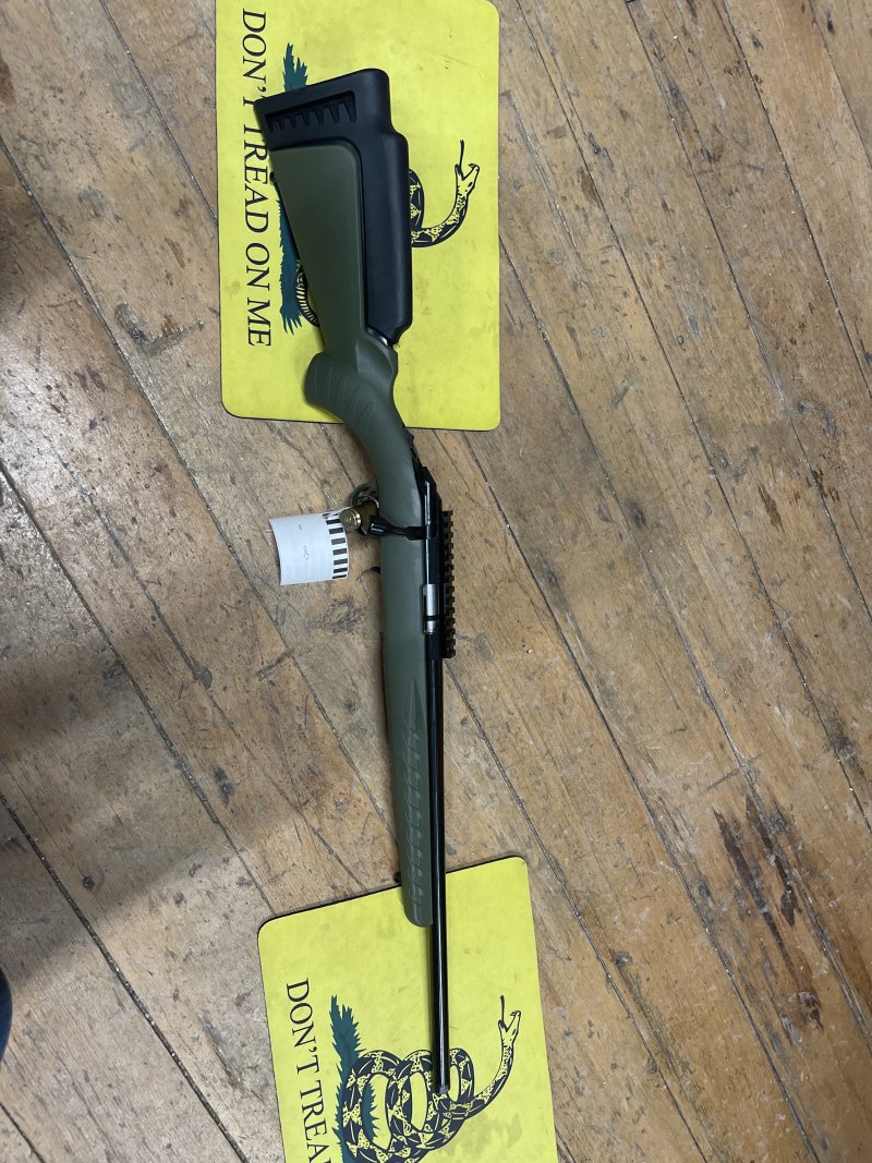 Ruger American 22MAG Picture