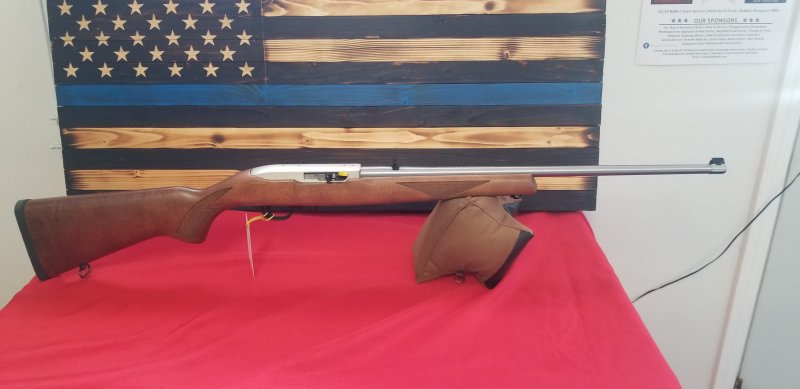 Ruger 10/22 Picture