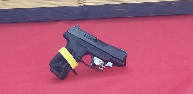 Ruger Max9 Picture